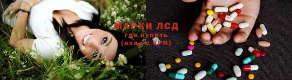 крисы Арсеньев