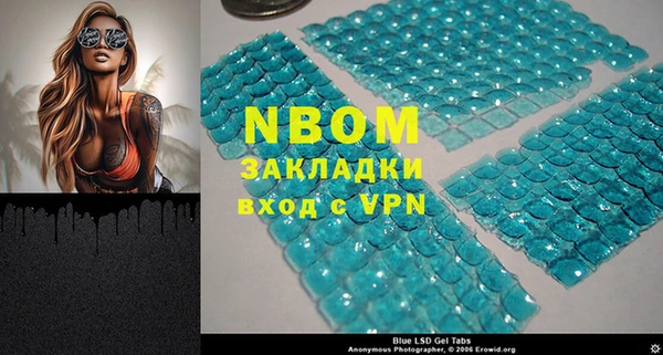 твердый Аркадак