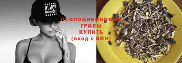 МДПВ Армянск