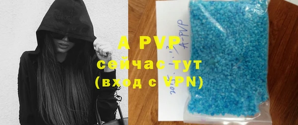 твердый Аркадак