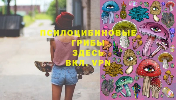 твердый Аркадак