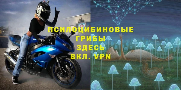 твердый Аркадак