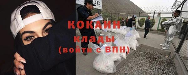 крисы Арсеньев